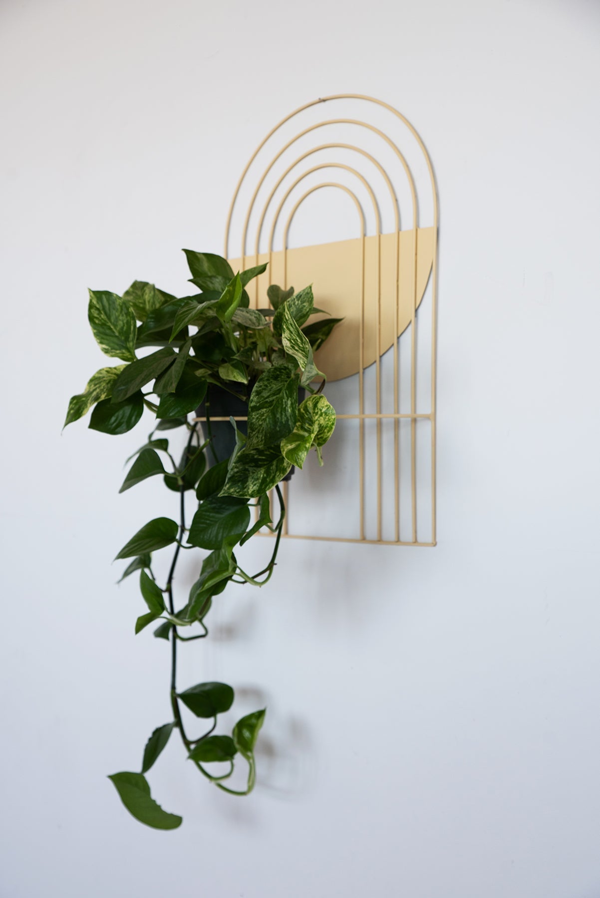 Arches Wall Planter