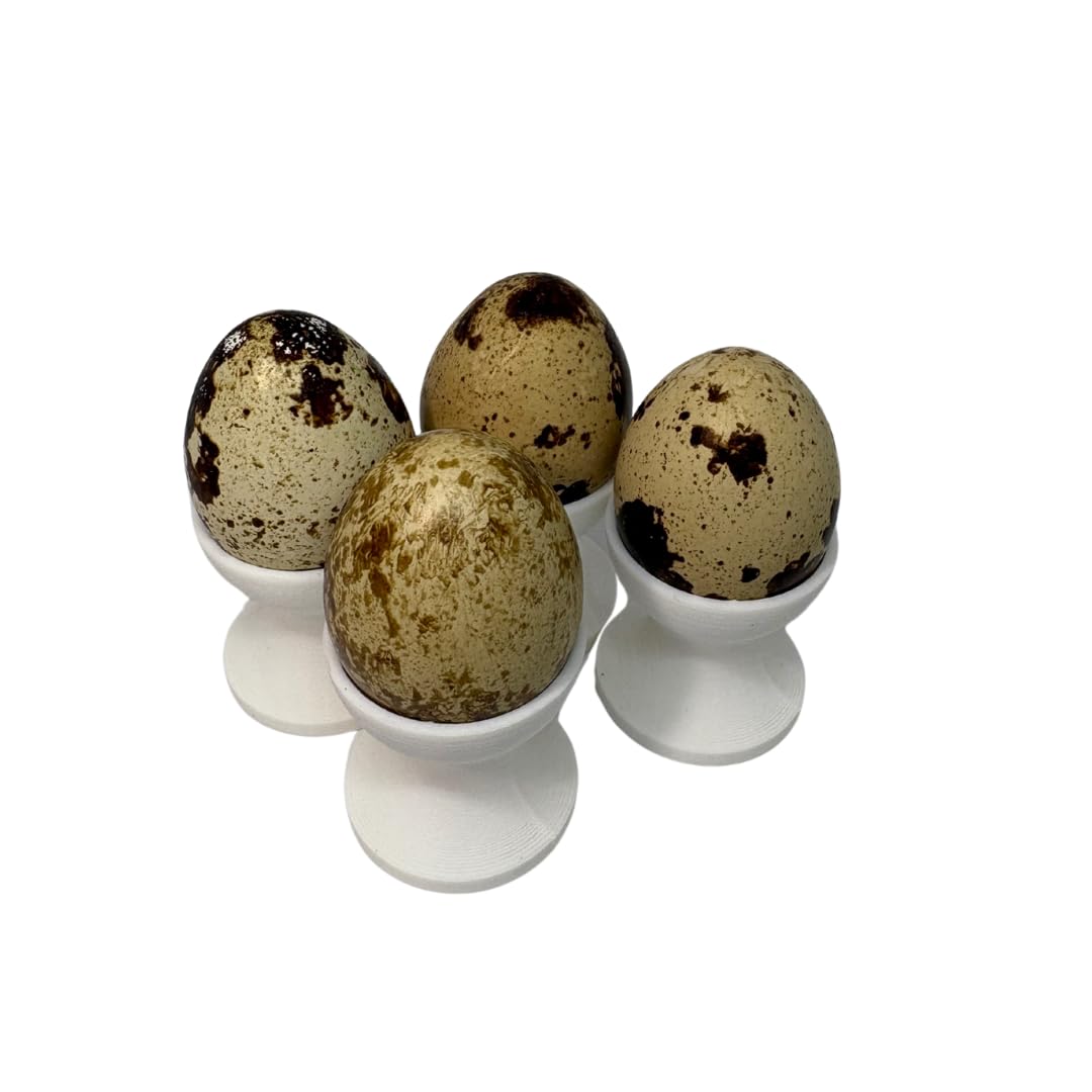 Mini Egg Cup Set, Quail Egg Holders, Set of 4