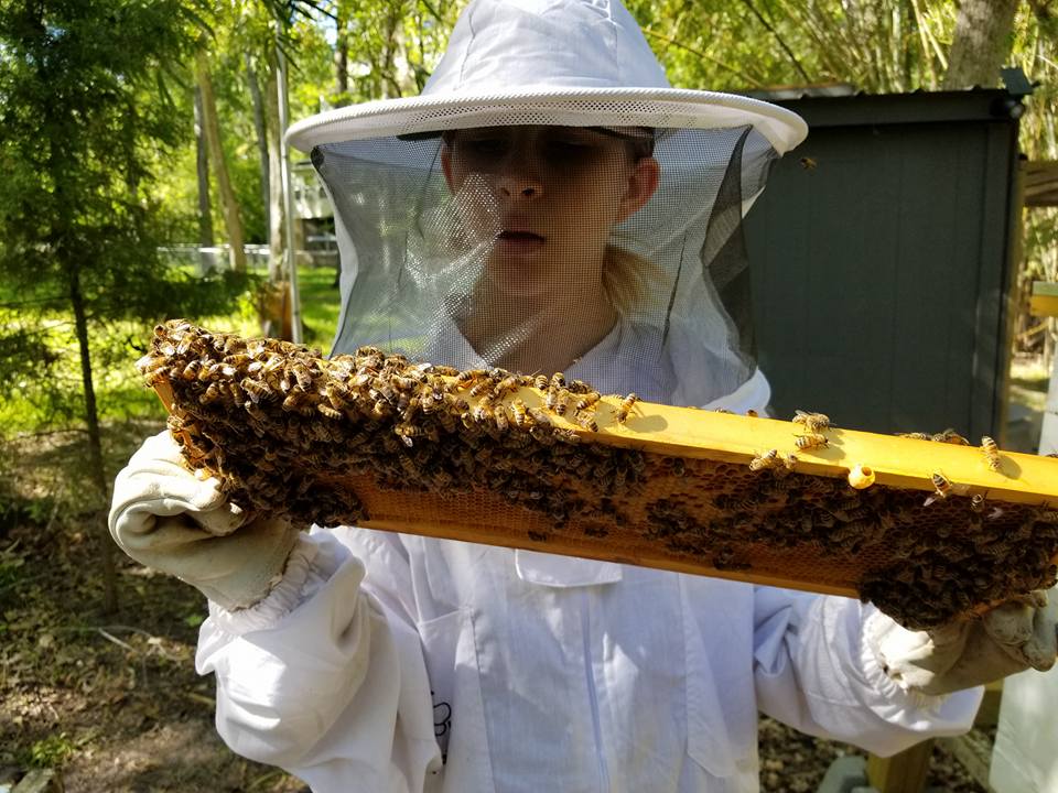 Raw Honey 10oz  Gallberry