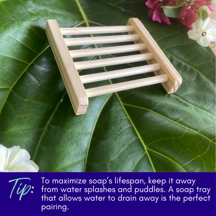 Red Bean & Root Soap, Zero Waste Gentle Exfoliant Scrub Bar