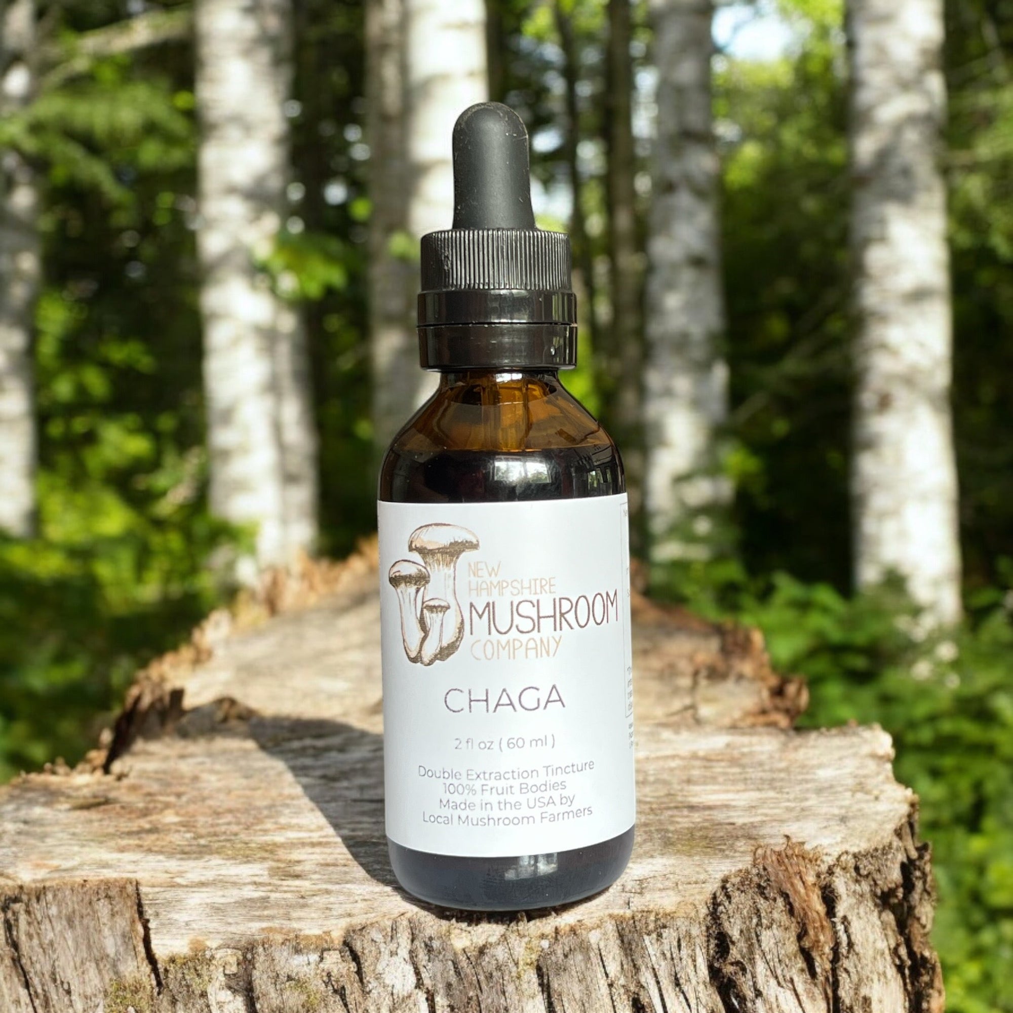 Chaga Mushroom Tincture – Immune & Antioxidant Support