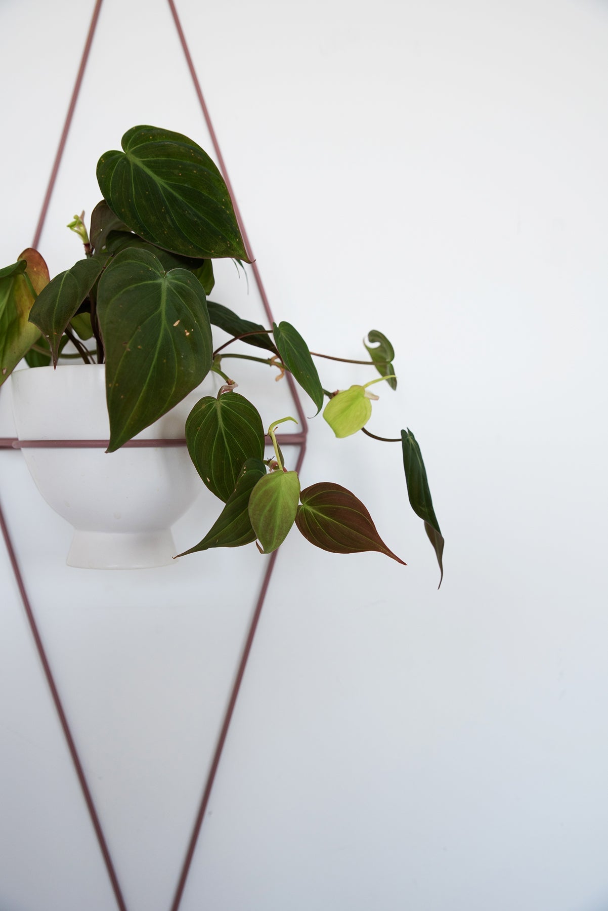 Diamond Eye Wall Planter