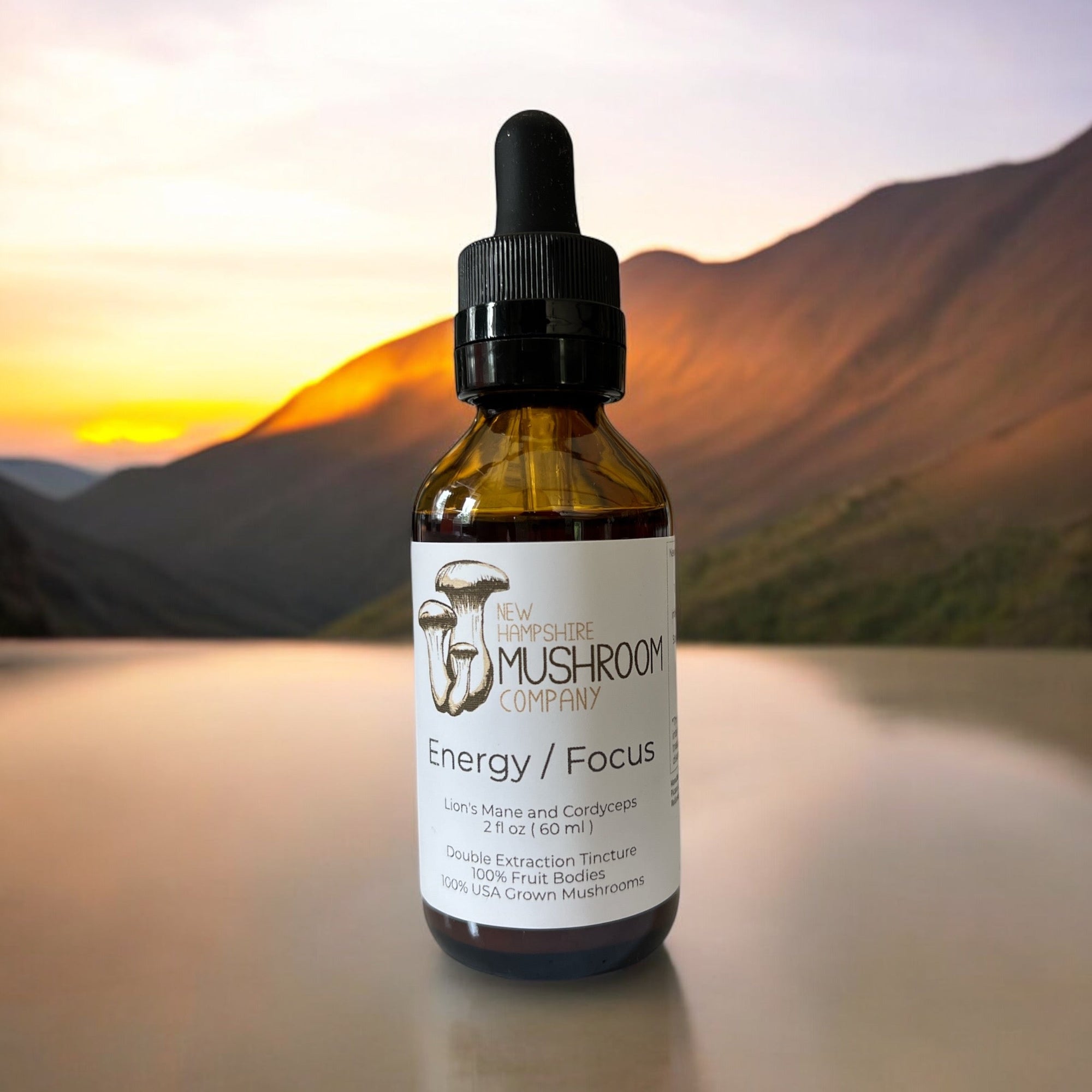 Energy & Focus Mushroom Tincture – Lions Mane & Cordyceps