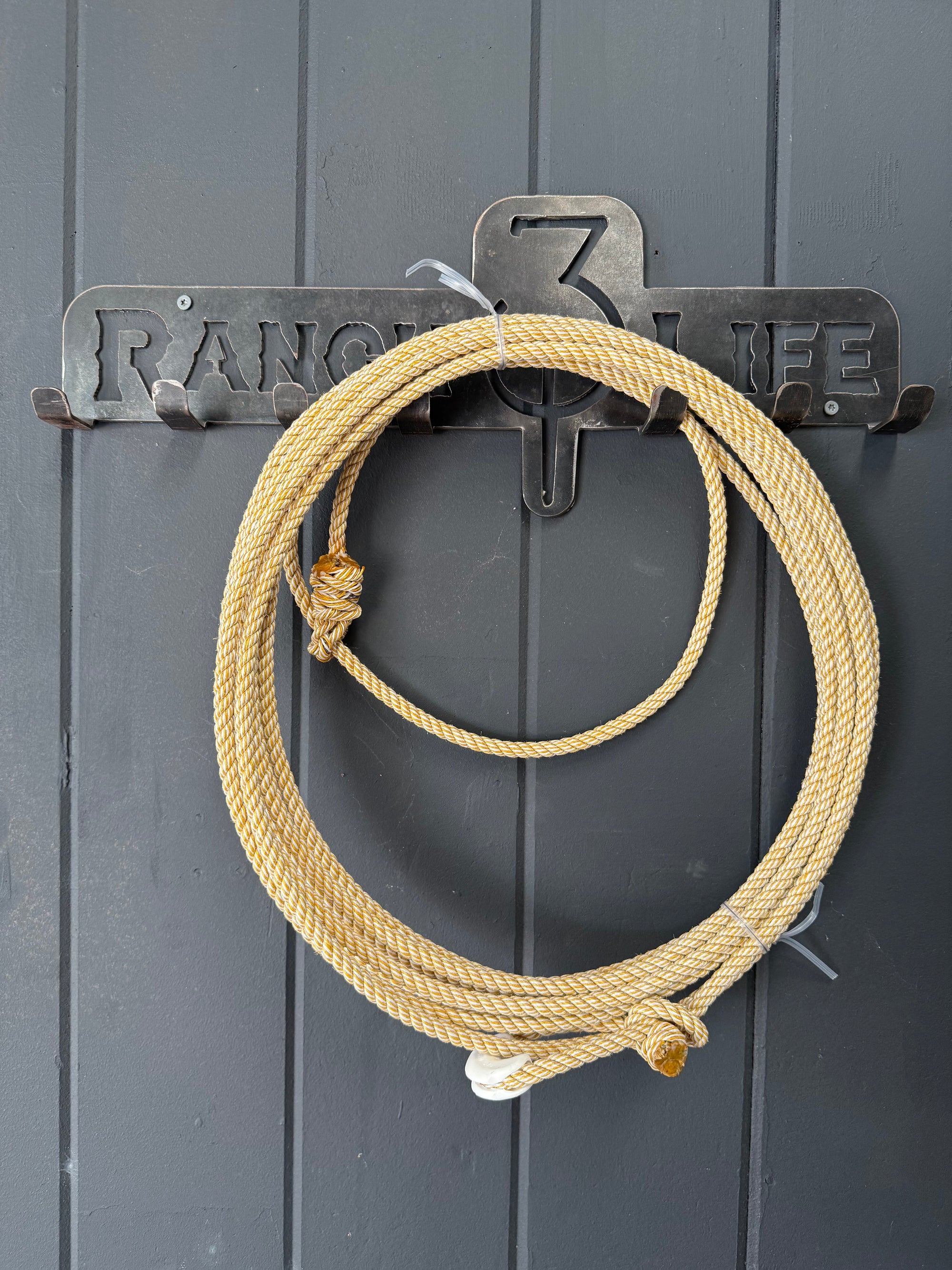 The 310 Fully Committed