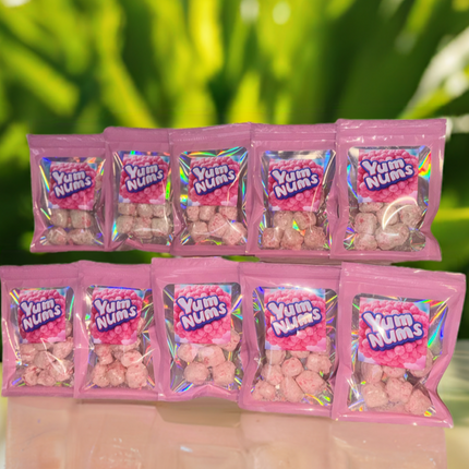 Watermelon YumNums Freeze-Dried Candy - 10 Bags of Crunchy, Juicy Perfection