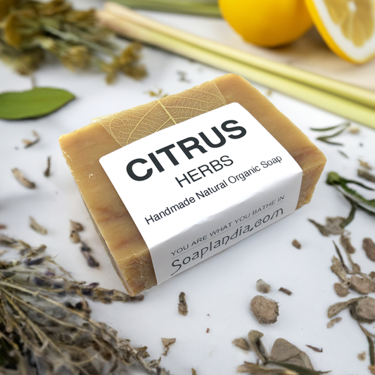 Soaplandia Soap Store Citrus Herbs Bar Soap, Organic