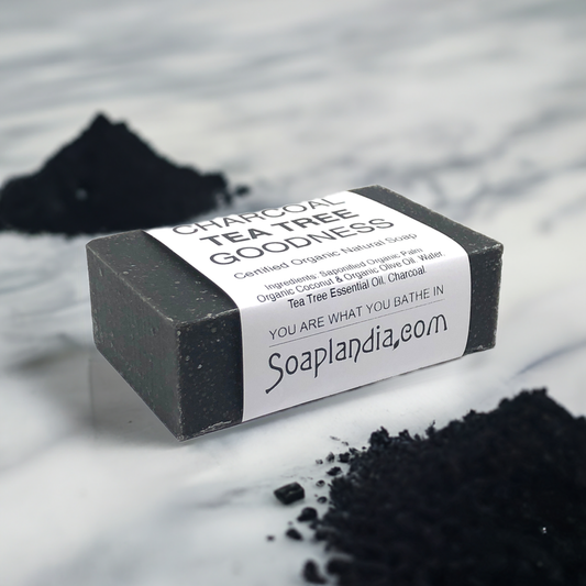 Soaplandia Soap Store Charcoal Tea Tree Goodness Bar Soap, Certified Organic