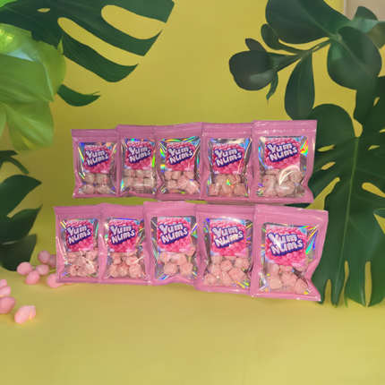 Watermelon YumNums Freeze-Dried Candy - 10 Bags of Crunchy, Juicy Perfection