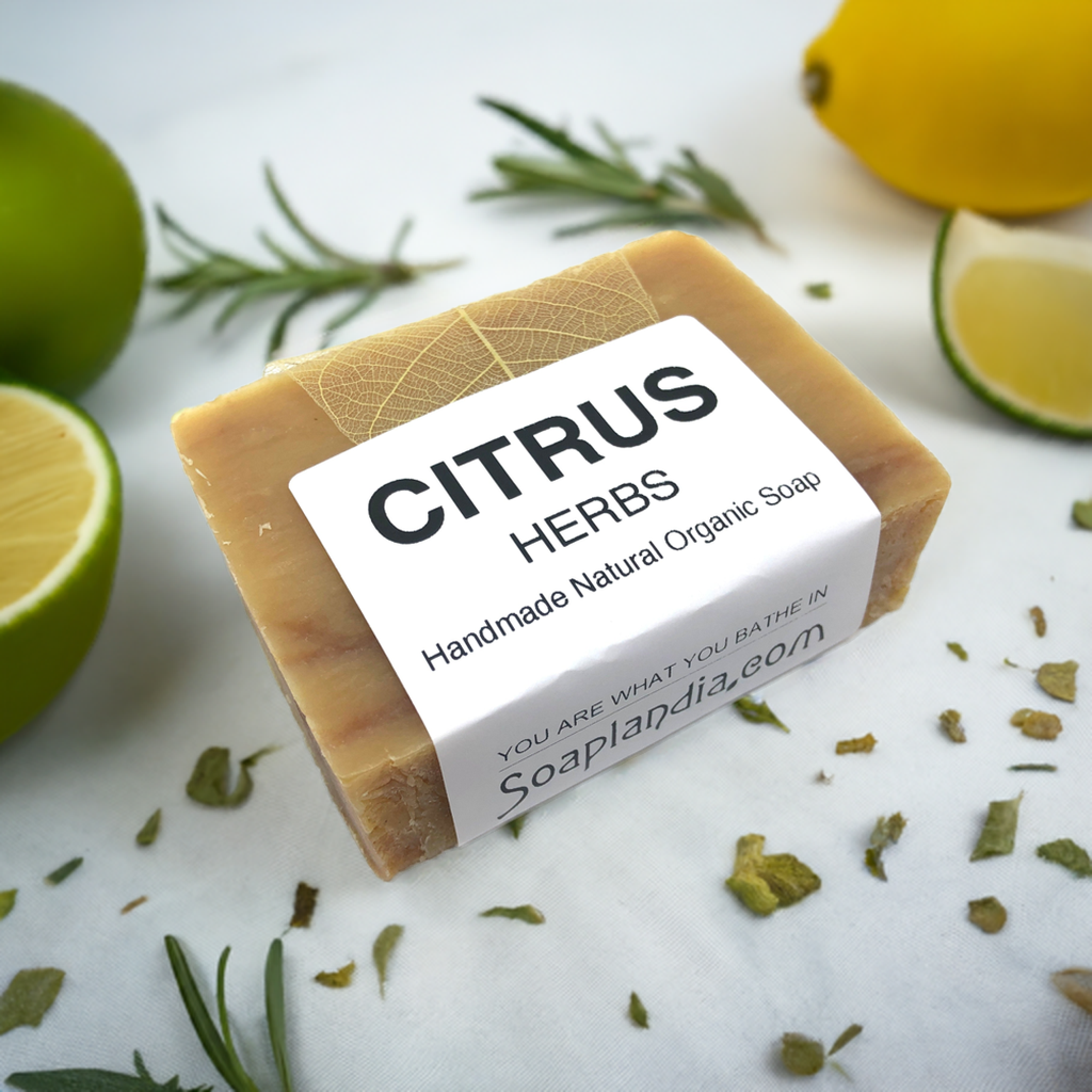 Soaplandia Soap Store Citrus Herbs Bar Soap, Organic