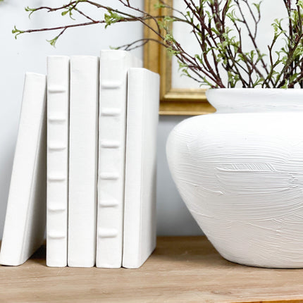 Books for Shelf Decor