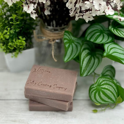 Lavender & Oats Soap | All Natural Bath Bar with Coconut Milk and Colloidal Oats | Vegan Friendly | Palm Oil Free | Ecofriendly Packaging