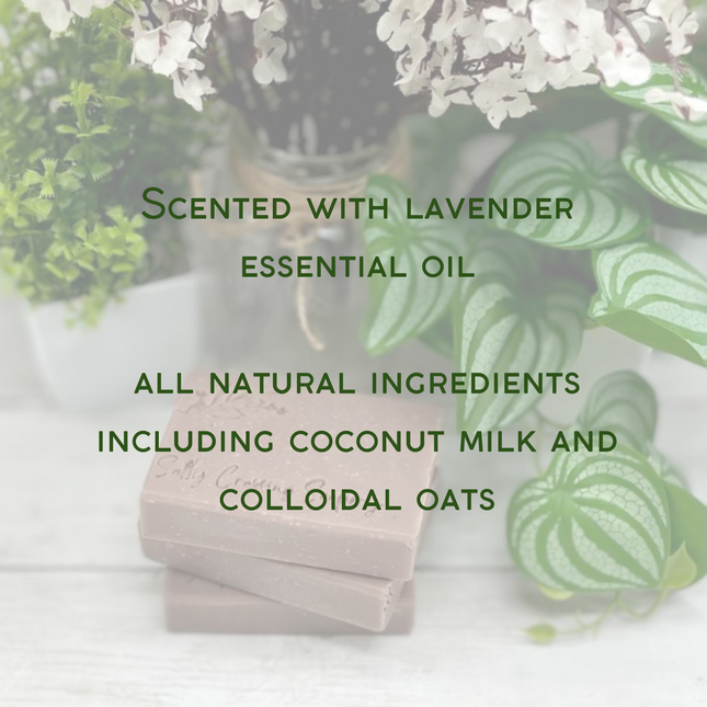 Lavender & Oats Soap | All Natural Bath Bar with Coconut Milk and Colloidal Oats | Vegan Friendly | Palm Oil Free | Ecofriendly Packaging