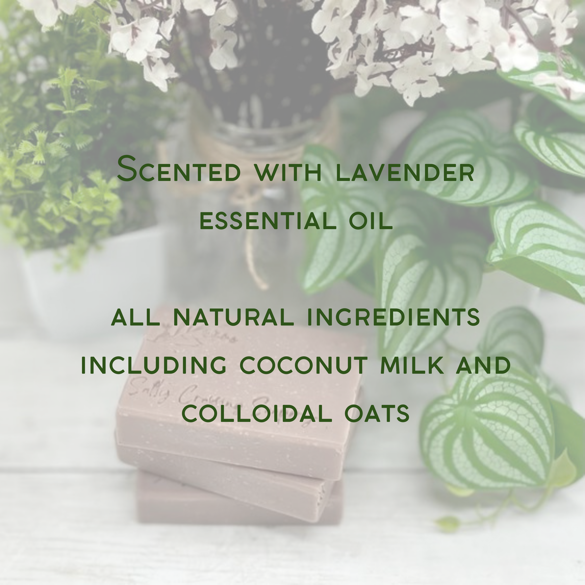 Lavender & Oats Soap | All Natural Bath Bar with Coconut Milk and Colloidal Oats | Vegan Friendly | Palm Oil Free | Ecofriendly Packaging