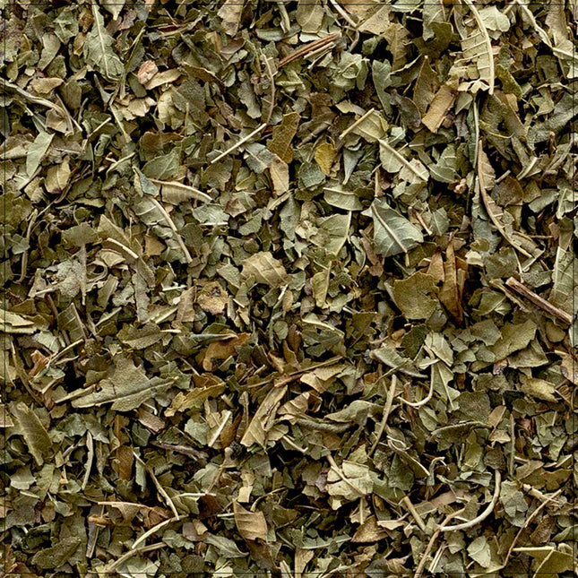 Lemon Verbena Leaf