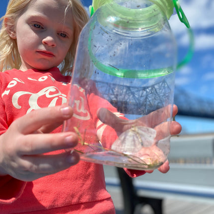 reCAP Kids® EXPLORE Mason Jar Bug Catcher and Habitat