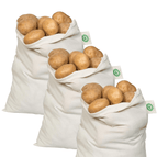 3 X-Large | 3 Large