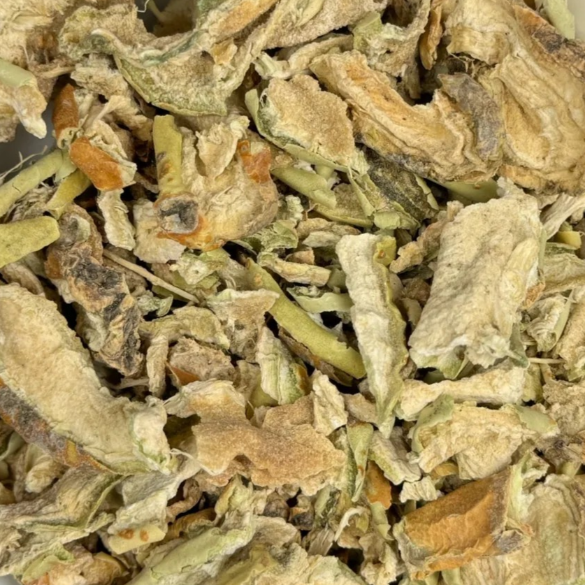 Nopal (Prickly Pear) | Blood Sugar Balance & Digestive Wellness