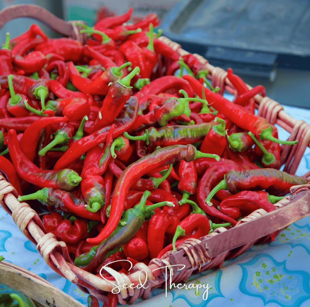 Jimmy Nardello's Pepper – 25 Seeds