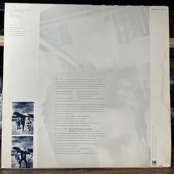 The Dream Of The Blue Turtles (VINYL) | Near Mint (NM or M-) Excellent (EX)