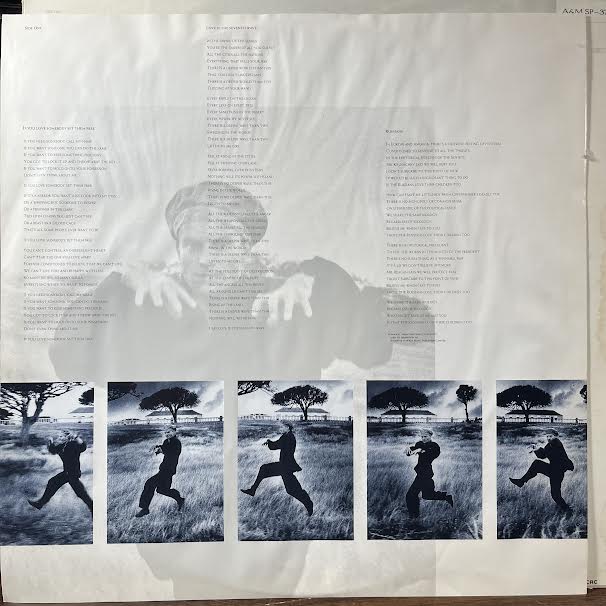 The Dream Of The Blue Turtles (VINYL) | Near Mint (NM or M-) Excellent (EX)