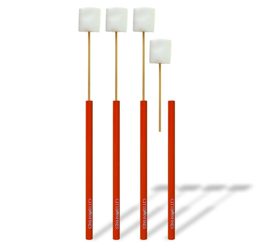 City Bonfires Portable Reusable Skewer 4 Pack