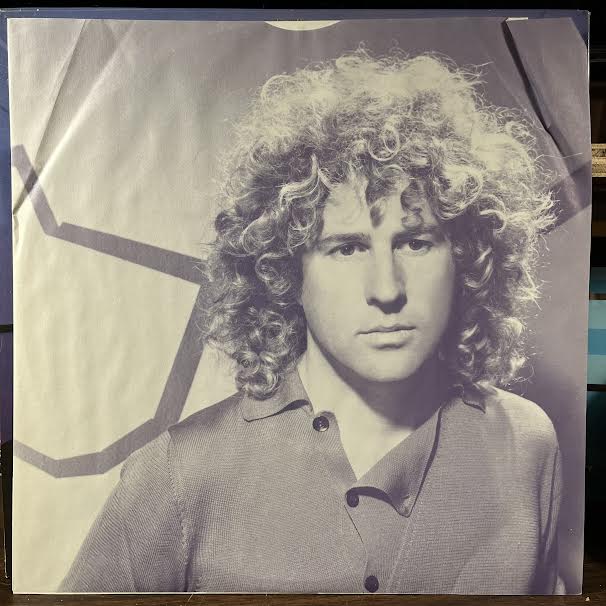 Standing Hampton (VINYL) | Near Mint (NM or M-) Near Mint- (NM-)