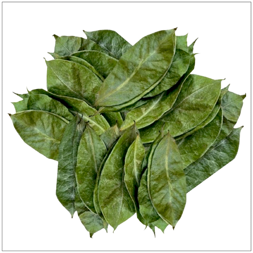 Soursop Leaf Dried Natural