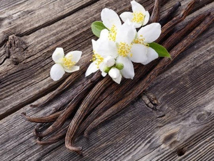 Vanilla Bean Infused Honey - Deliciously Sweet Vanilla Bean Honey