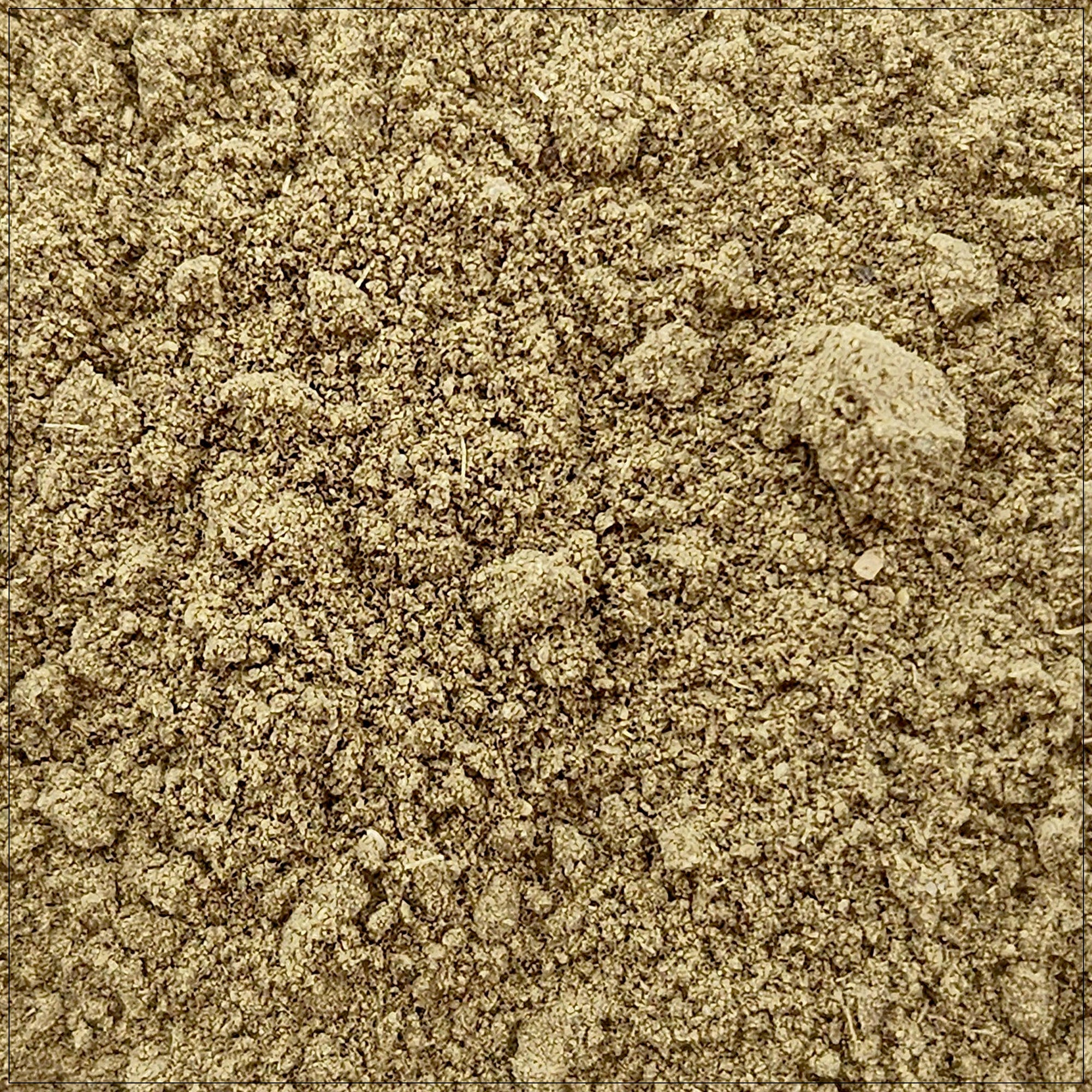 Uva Ursi Powder