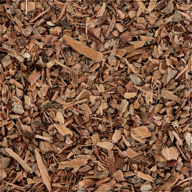 Witch Hazel Bark