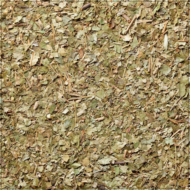 Witch Hazel Leaf