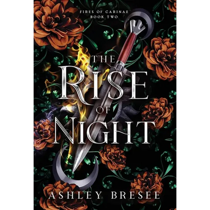 The Rise of Night: A Dark Fantasy Romance